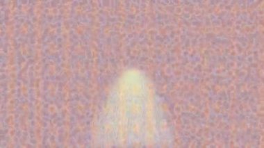 Organik desenli yüzey giriş stili video film sanatı ile soyut arkaplan tasarımı