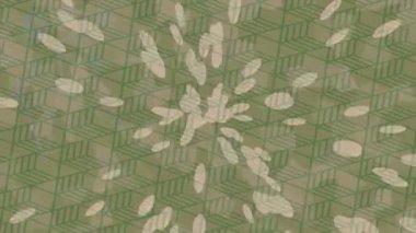 Profesyonel video projeleri sanat tarzı için organik hareketli arkaplan tasarımı