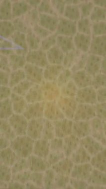 Estetik doku arkaplan tasarımı renkli hareket grafikleri ile moda film giriş profosyoneli