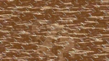 Soyut hareket desenli fütüristik video üretimi için dinamik dijital arkaplan