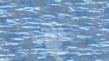 Soyut hareket desenli fütüristik video üretimi için dinamik dijital arkaplan