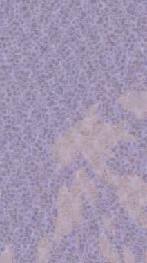 Benzersiz dijital animasyon tarzı grafikleri olan yaratıcı ortam tasarımı için yenilikçi hareket dokusu