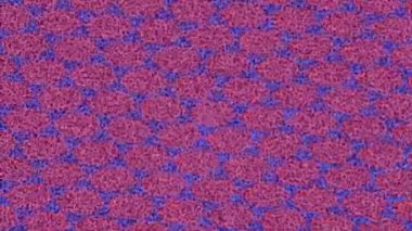 Lüks hareket tasarımı üst düzey video projeleri ve dijital sanat için zarif, pürüzsüz bir dokusu var.