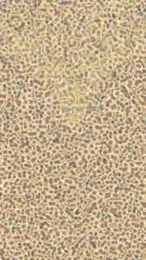 Benzersiz hareket dokusu tasarım sanatı ile profesyonel video düzenleme için modern soyut grafikler