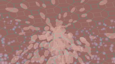 Yaratıcı video düzenleme film arkaplan tasarımı için minimalist organik hareket grafikleri