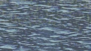 Soyut hareket desenli fütüristik video üretimi için dinamik dijital arkaplan