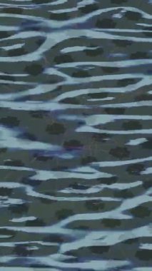 Estetik doku arkaplan tasarımı renkli hareket grafikleri ile moda film giriş profosyoneli