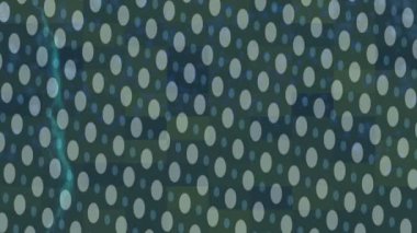 Yaratıcı video düzenleme film arkaplan tasarımı için minimalist organik hareket grafikleri