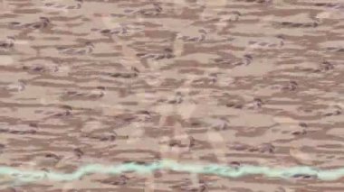 Benzersiz dijital animasyon tarzı grafikleri olan yaratıcı ortam tasarımı için yenilikçi hareket dokusu