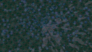 Benzersiz video giriş tasarımı projeleri için detaylı yüzey kalıbı film animasyon stili grafik girişi