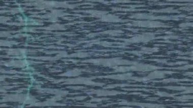 Yaratıcı video düzenleme film arkaplan tasarımı için minimalist organik hareket grafikleri