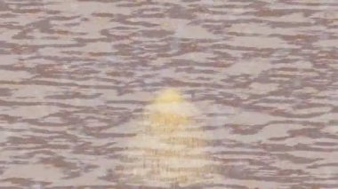 Organik desenli yüzey giriş stili video film sanatı ile soyut arkaplan tasarımı