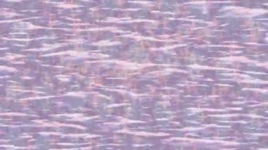 Dijital doku yüzey tasarım biçimi ile modern video animasyonu için gelişmiş hareket grafikleri