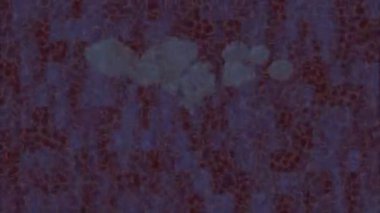 Benzersiz dijital hareket grafiklerine sahip yaratıcı sinematik projeler için yumuşak animasyon yüzeyi