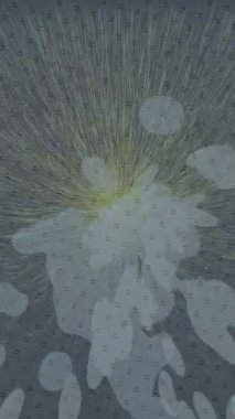 Organik desenli yüzey giriş stili video film sanatı ile soyut arkaplan tasarımı