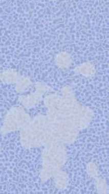 Lüks hareket tasarımı üst düzey video projeleri ve dijital sanat için zarif, pürüzsüz bir dokusu var.