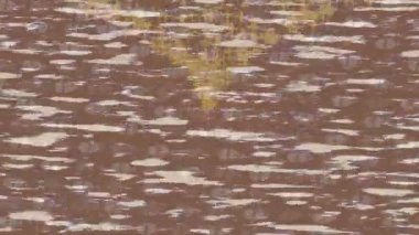 Lüks hareket projeleri için soyut tasarım stili animasyonu olan üst düzey dijital doku