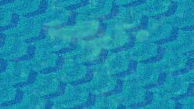 Benzersiz hareket grafikleri tasarım sanatına sahip yaratıcı film üretimi için özet bir arkaplan