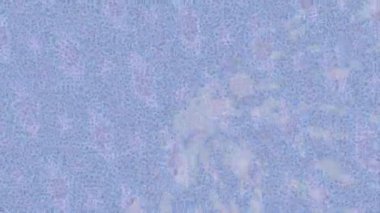 Profesyonel video projeleri sanat tarzı için organik hareketli arkaplan tasarımı