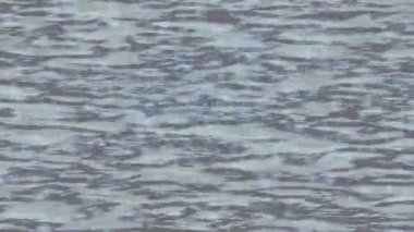 Benzersiz video giriş tasarımı projeleri için detaylı yüzey kalıbı film animasyon stili grafik girişi