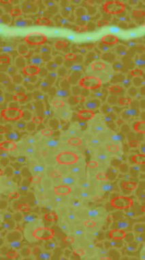 Profesyonel video projeleri sanat tarzı için organik hareketli arkaplan tasarımı