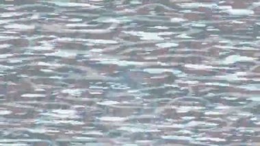 Benzersiz dijital hareket grafiklerine sahip yaratıcı sinematik projeler için yumuşak animasyon yüzeyi