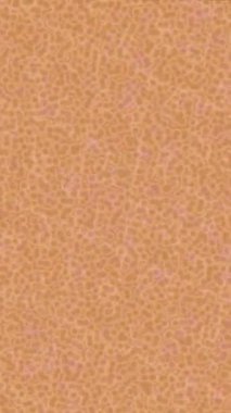 Benzersiz dijital animasyon tarzı grafikleri olan yaratıcı ortam tasarımı için yenilikçi hareket dokusu