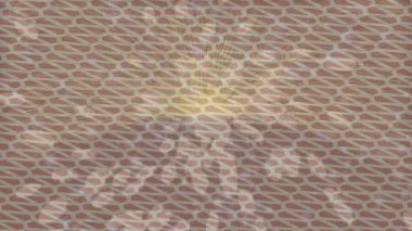 Benzersiz video giriş tasarımı projeleri için detaylı yüzey kalıbı film animasyon stili grafik girişi