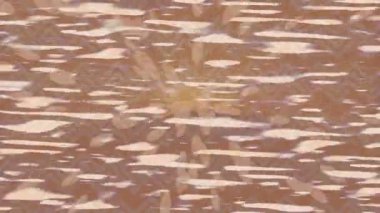 Profesyonel video projeleri sanat tarzı için organik hareketli arkaplan tasarımı