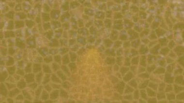 Lüks hareket tasarımı üst düzey video projeleri ve dijital sanat için zarif, pürüzsüz bir dokusu var.