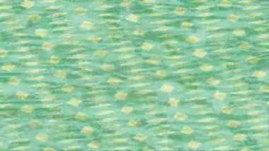 Lüks hareket projeleri için soyut tasarım stili animasyonu olan üst düzey dijital doku