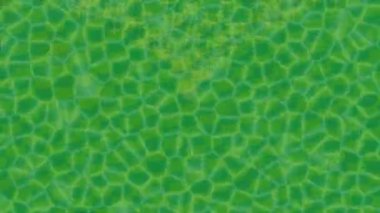 Soyut hareket desenli fütüristik video üretimi için dinamik dijital arkaplan