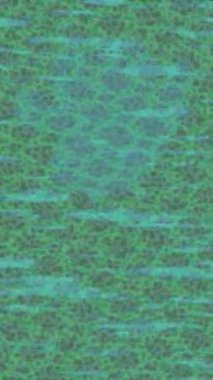 Benzersiz dijital animasyon tarzı grafikleri olan yaratıcı ortam tasarımı için yenilikçi hareket dokusu