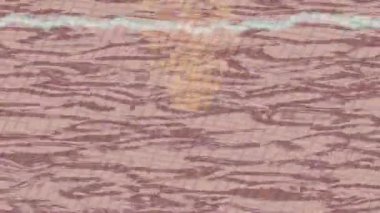 Estetik doku arkaplan tasarımı renkli hareket grafikleri ile moda film giriş profosyoneli