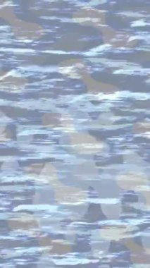 Benzersiz dijital animasyon tarzı grafikleri olan yaratıcı ortam tasarımı için yenilikçi hareket dokusu