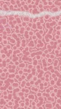 Yaratıcı video düzenleme film arkaplan tasarımı için minimalist organik hareket grafikleri