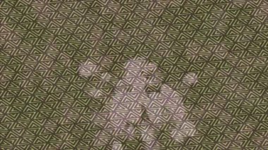 Benzersiz dijital hareket grafiklerine sahip yaratıcı sinematik projeler için yumuşak animasyon yüzeyi