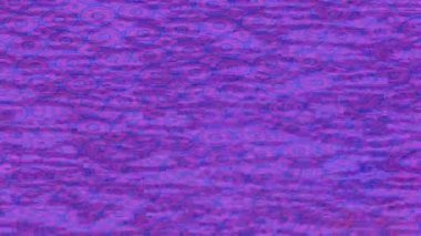 Benzersiz hareket grafikleri tasarım sanatına sahip yaratıcı film üretimi için özet bir arkaplan