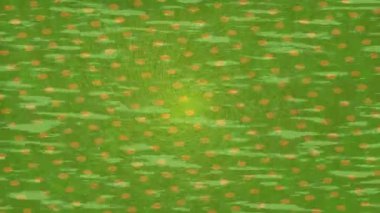 Yaratıcı video düzenleme film arkaplan tasarımı için minimalist organik hareket grafikleri