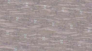 Yaratıcı video düzenleme film arkaplan tasarımı için minimalist organik hareket grafikleri