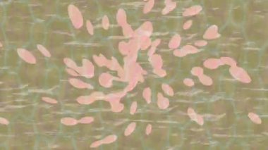 Benzersiz video giriş tasarımı projeleri için detaylı yüzey kalıbı film animasyon stili grafik girişi