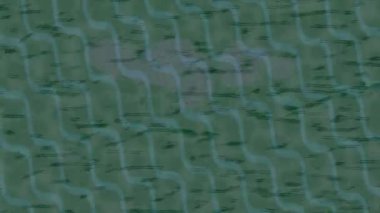 Benzersiz dijital animasyon tarzı grafikleri olan yaratıcı ortam tasarımı için yenilikçi hareket dokusu