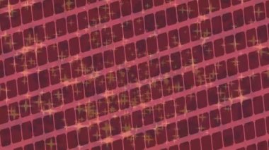 Benzersiz video giriş tasarımı projeleri için detaylı yüzey kalıbı film animasyon stili grafik girişi