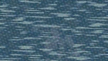 Benzersiz hareket dokusu tasarım sanatı ile profesyonel video düzenleme için modern soyut grafikler