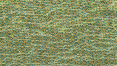 Modern medya üretimi için fütüristik dijital soyut doku sinematik tarz hareketli grafik ögesi