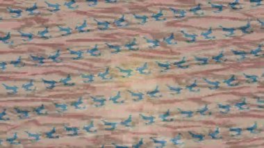 Yaratıcı video düzenleme film arkaplan tasarımı için minimalist organik hareket grafikleri