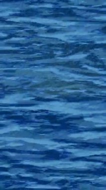 Benzersiz dijital animasyon tarzı grafikleri olan yaratıcı ortam tasarımı için yenilikçi hareket dokusu