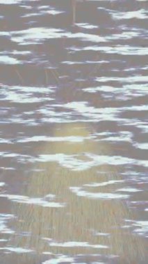 Benzersiz hareket grafikleri tasarım sanatına sahip yaratıcı film üretimi için özet bir arkaplan