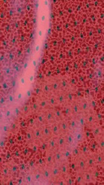 Benzersiz video giriş tasarımı projeleri için detaylı yüzey kalıbı film animasyon stili grafik girişi