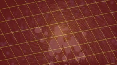 Profesyonel video projeleri sanat tarzı için organik hareketli arkaplan tasarımı